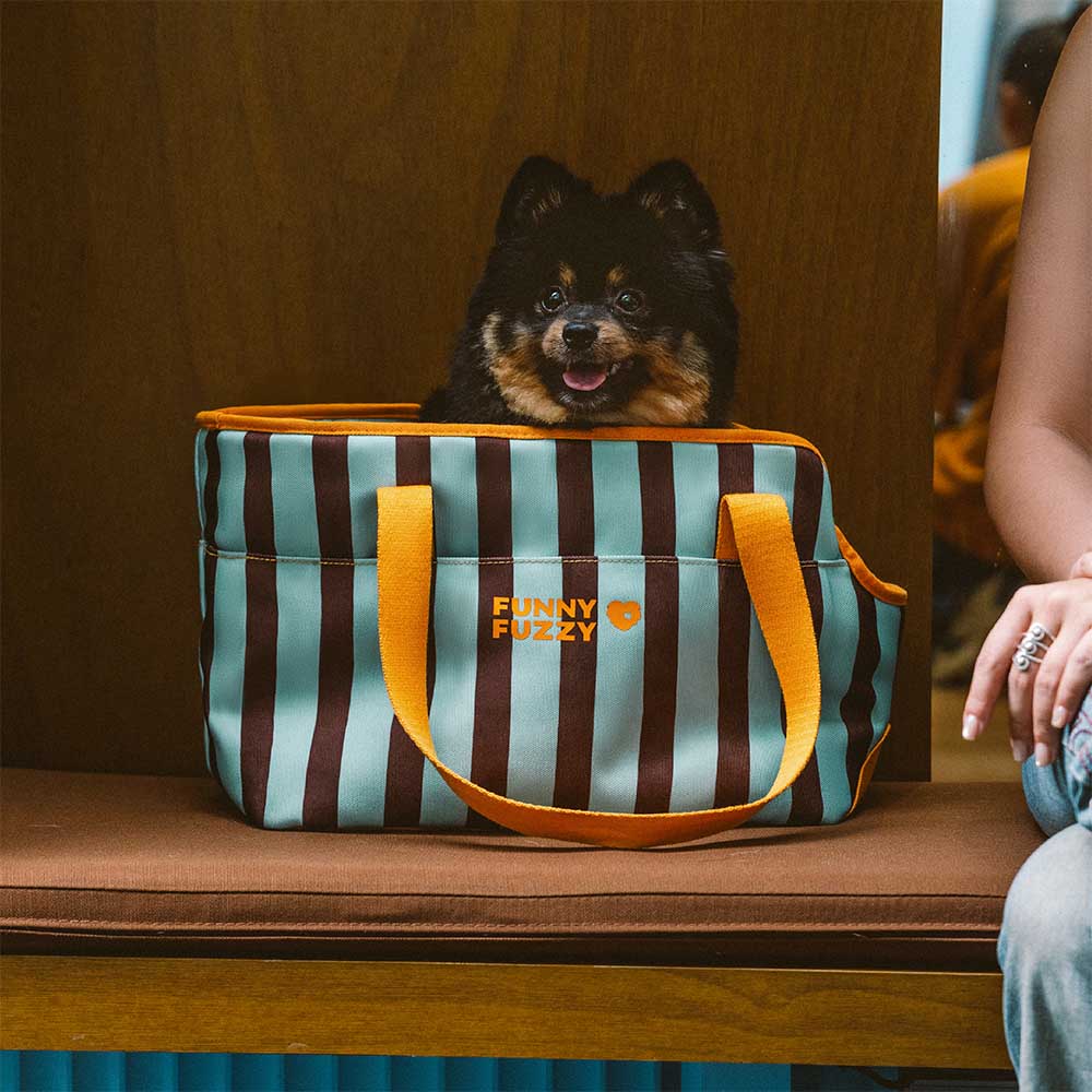 Stripe Eco-friendly Waterproof Breathable Mesh Safe Pet Carrier - CityBreeze