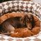 Cama clásica de Donut Dog Bolster Donut Bolster Argyle - Haven acogedor