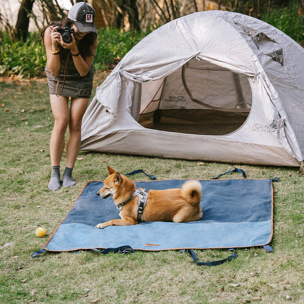 Classic Retro - Camping impermeable y tapa del asiento trasero de doble uso del automóvil