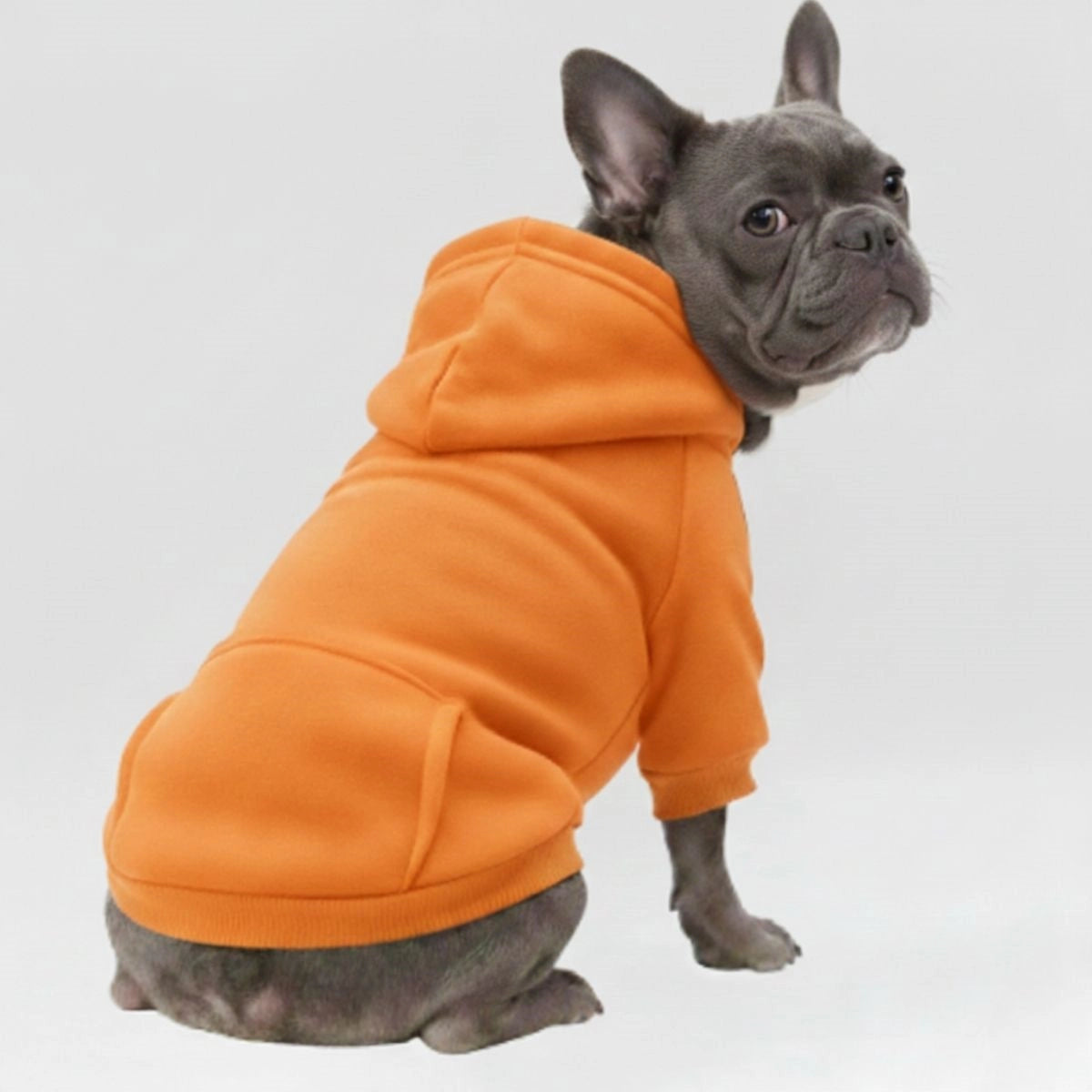 Colorful Cozy Dog Hoodies - Perfect for All-Weather Comfort