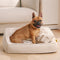 Comfort Support Orthopedic Support Sofá Cama con almohadas