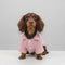 Cozy Sweater de perros de punto con cuello a cuadros: disponible en Pink & Blue