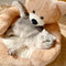 Linda cama de gato de oso de abrazo desmontable