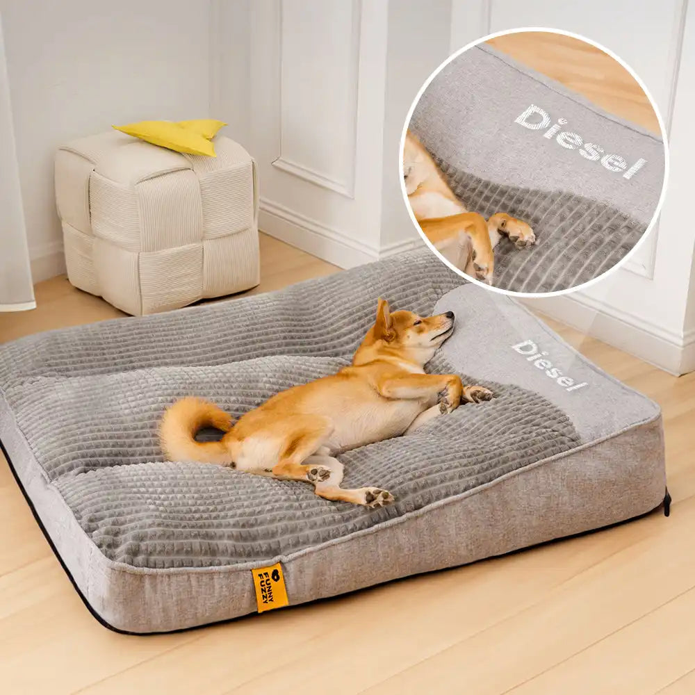 Precio especial - Cama de amortiguación de perros de protección de columna de columna resistente a los rasguños grandes y gruesos