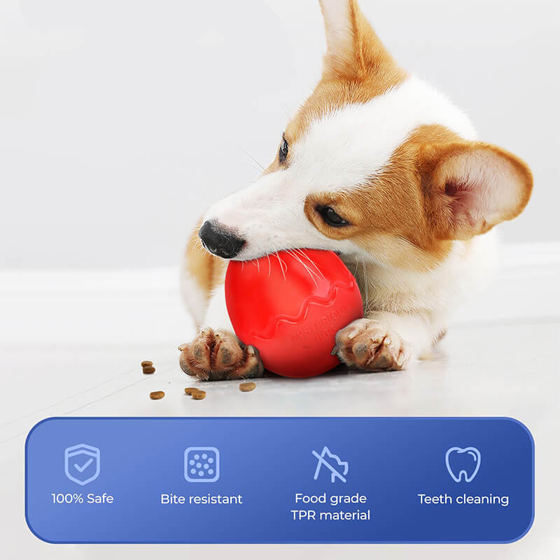 Juguetes interactivos para perros con alimentador lento en forma de huevo
