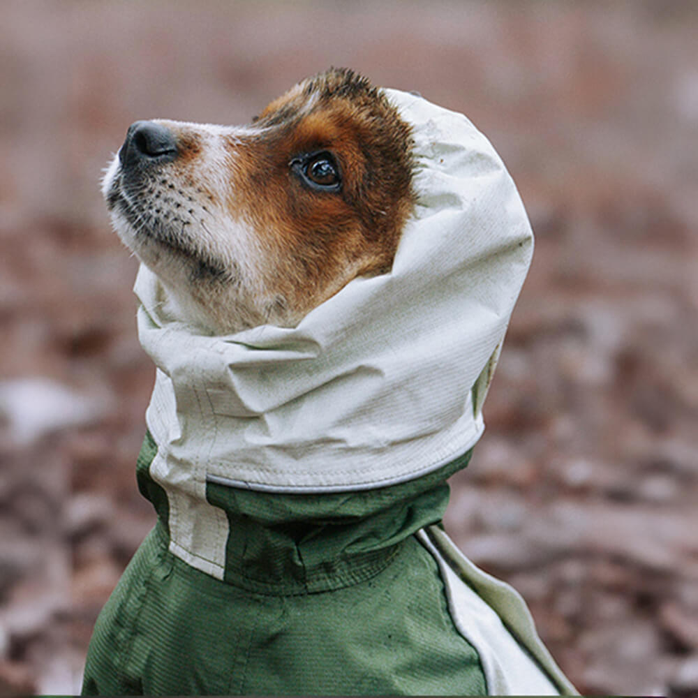 Large Adjustable Reflective Outdoor Dog and Human Matching Raincoat