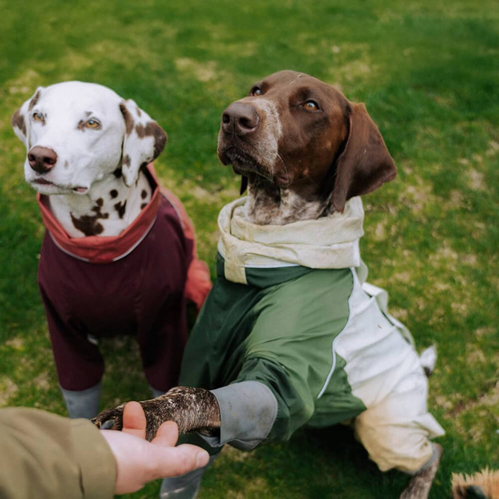 Large Adjustable Reflective Outdoor Dog and Human Matching Raincoat