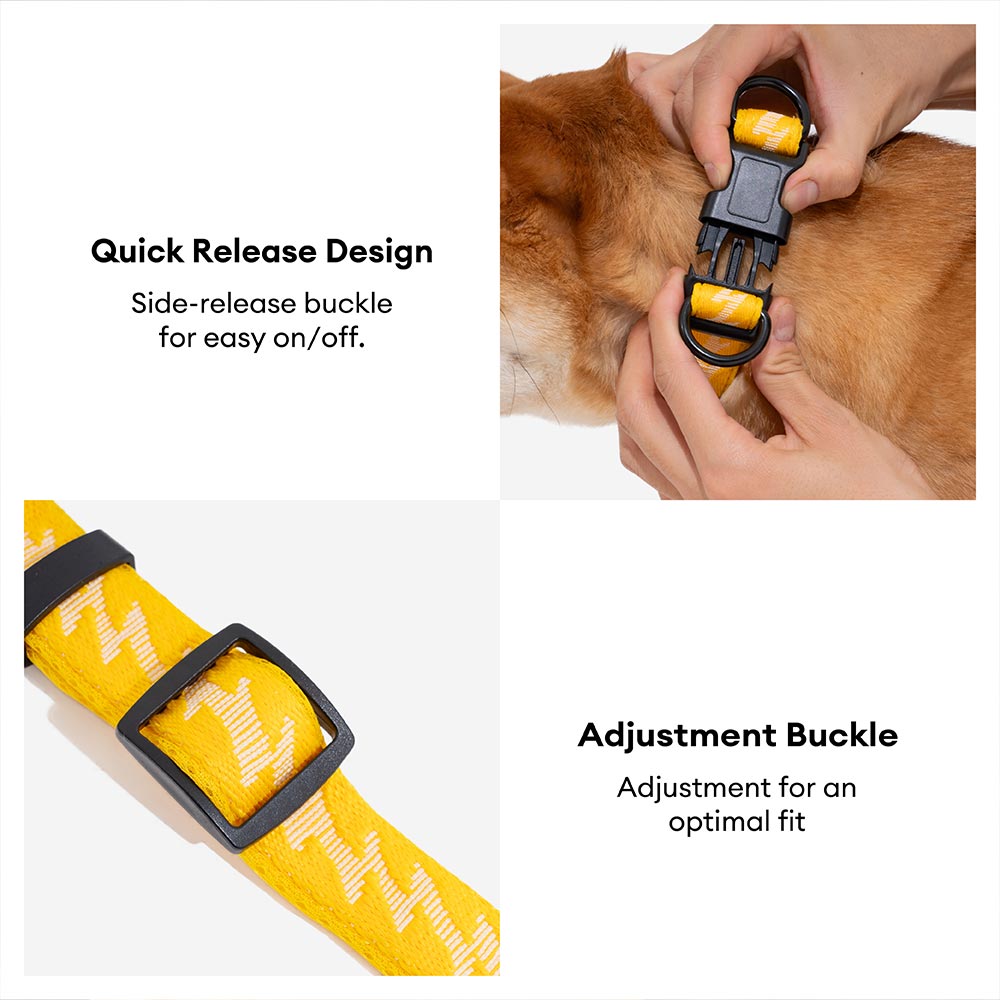 FUNNYFUZZY Adjustable Nylon Durable Dog Collar - Flexi Walker