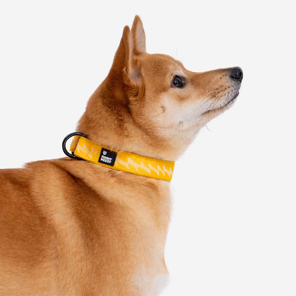 FUNNYFUZZY Adjustable Nylon Durable Dog Collar - Flexi Walker