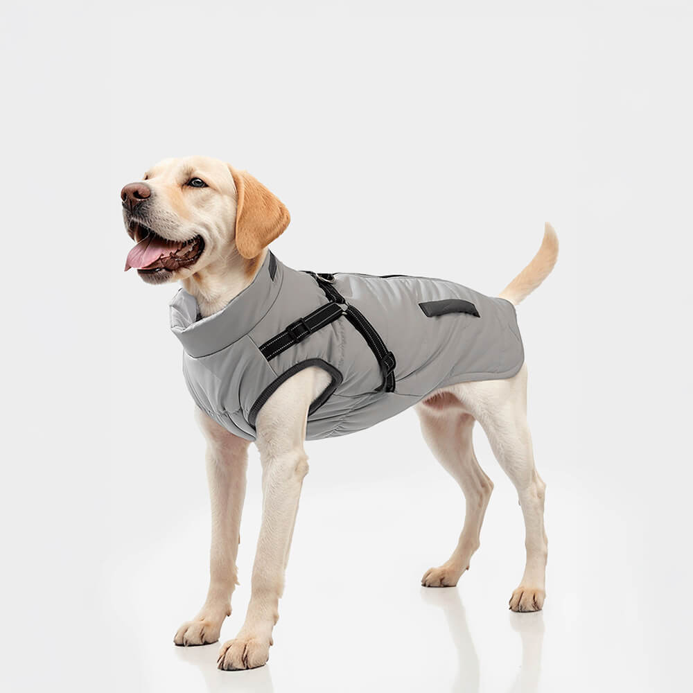 Adjustable Waterproof Warm Outdoor Dog Harness Jacket