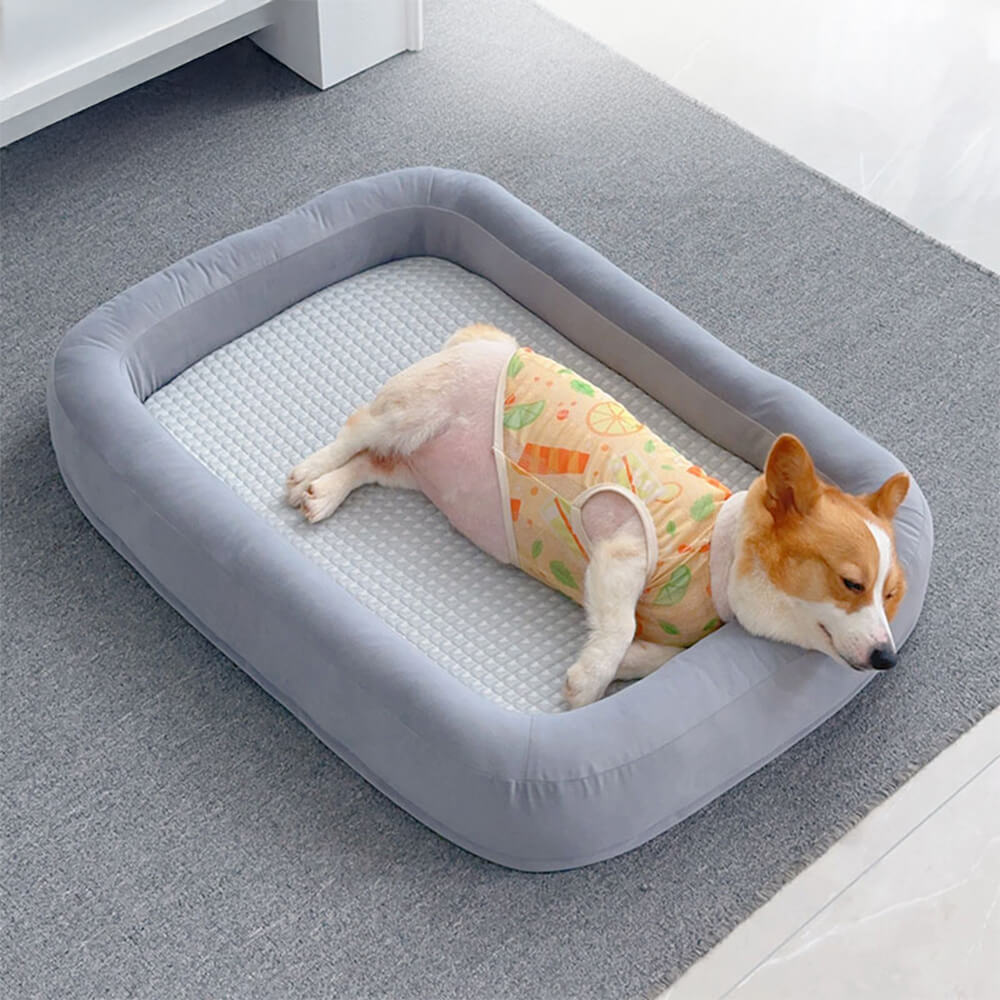 Functional Soft Plush Orthopedic Washable Dog & Cat Bed