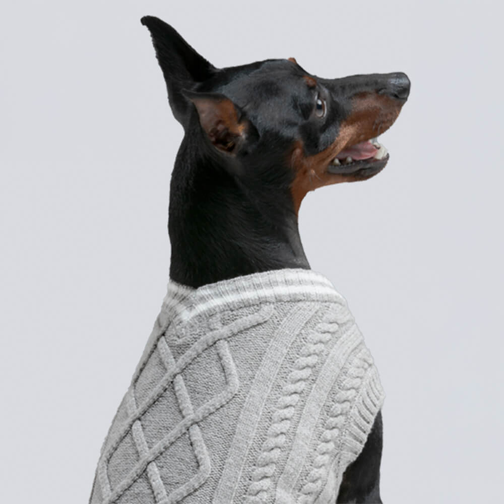 Trendy V-Neck Argyle Knit Stretchable Warm Dog & Cat Sweater