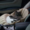Bolsa de mascotas de coche expansible de Fashion Shell Fashion
