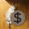 Patrón de dólar Tablero de rasguño de gato de doble cara
