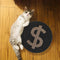 Patrón de dólar Tablero de rasguño de gato de doble cara