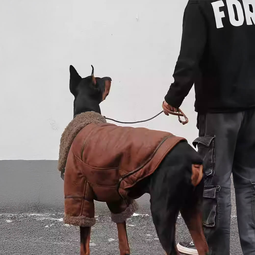 Chaqueta de perro aviador vintage con forro de oveja - cálido y elegante