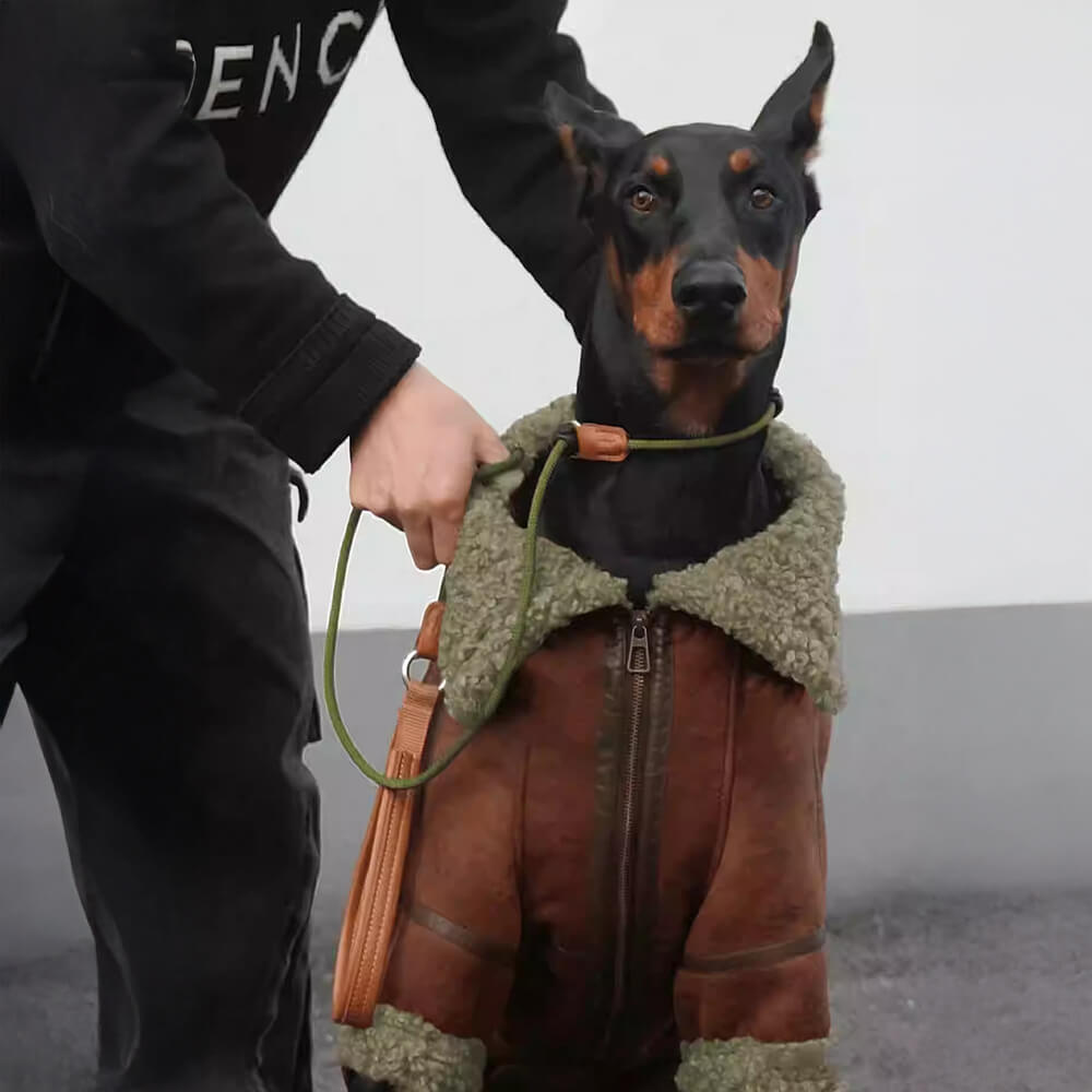 Chaqueta de perro aviador vintage con forro de oveja - cálido y elegante