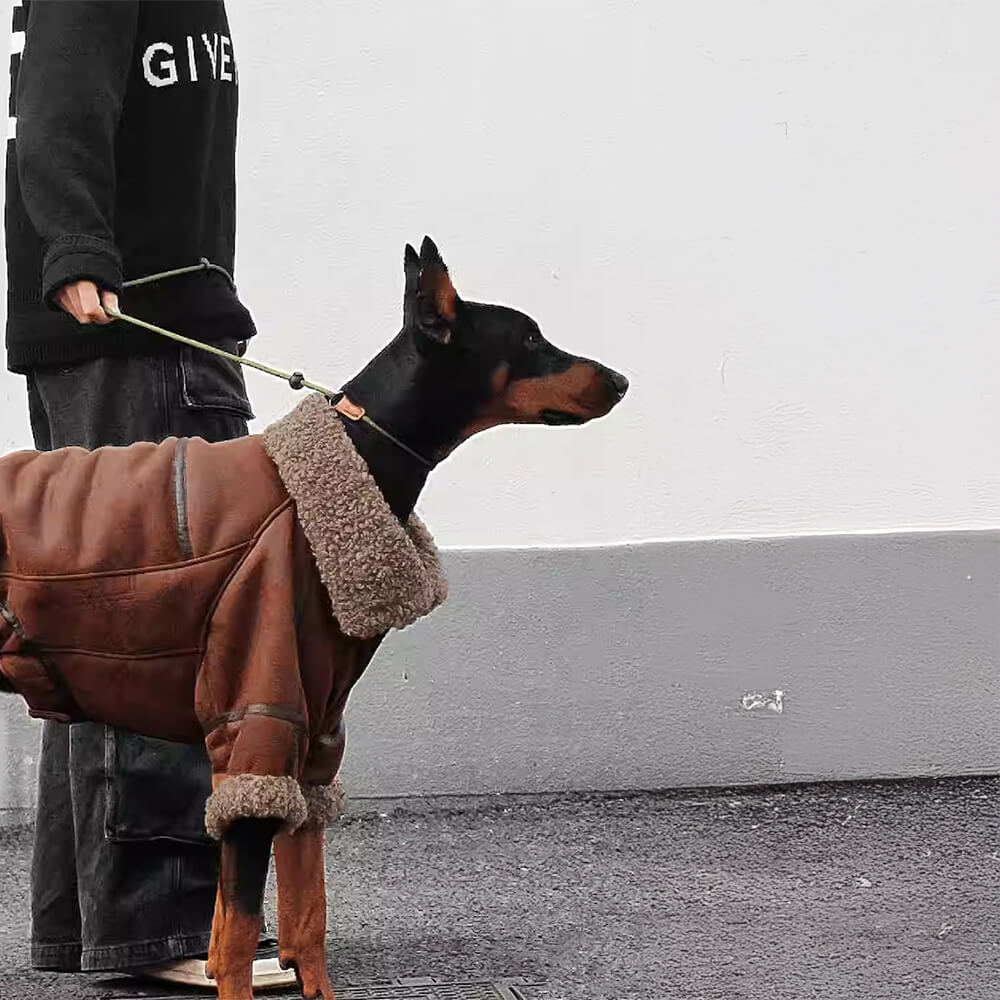 Chaqueta de perro aviador vintage con forro de oveja - cálido y elegante