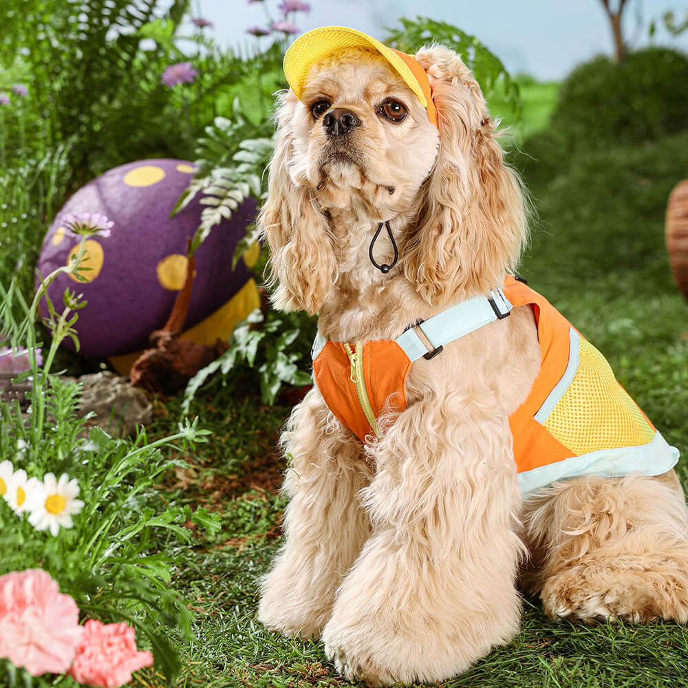 Chaleco colorido de moda para perros con sombrero para el sol para perros pequeños
