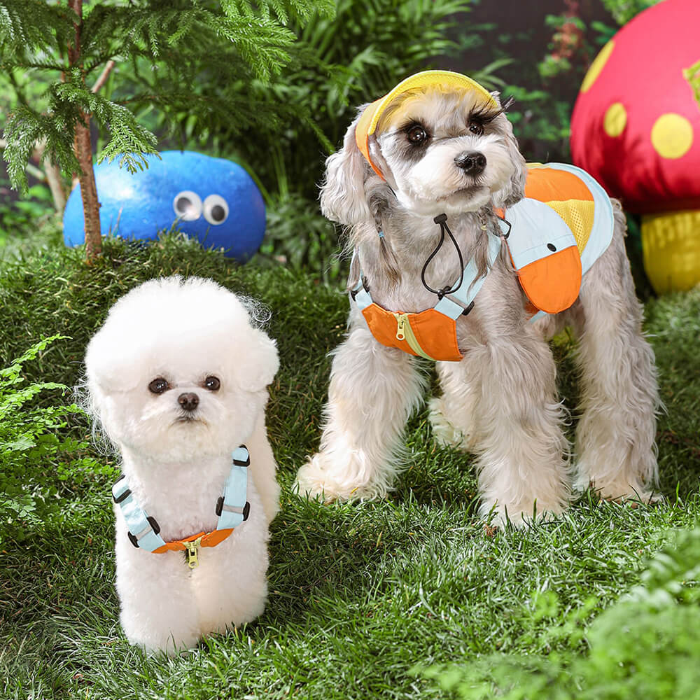Chaleco colorido de moda para perros con sombrero para el sol para perros pequeños