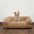 Fluffy Plush espesada acogedora cama calmante de mascotas para perro sofá cama de gato