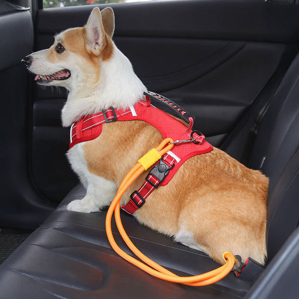 Anti-Pull Nylon Dog Cart Cinturón de seguridad