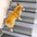 Anti-scratch Sisal Stair Protectors Tape Free Washable Carpet Stair Treads