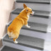 Anti-scratch Sisal Stair Protectors Tape Free Washable Carpet Stair Treads