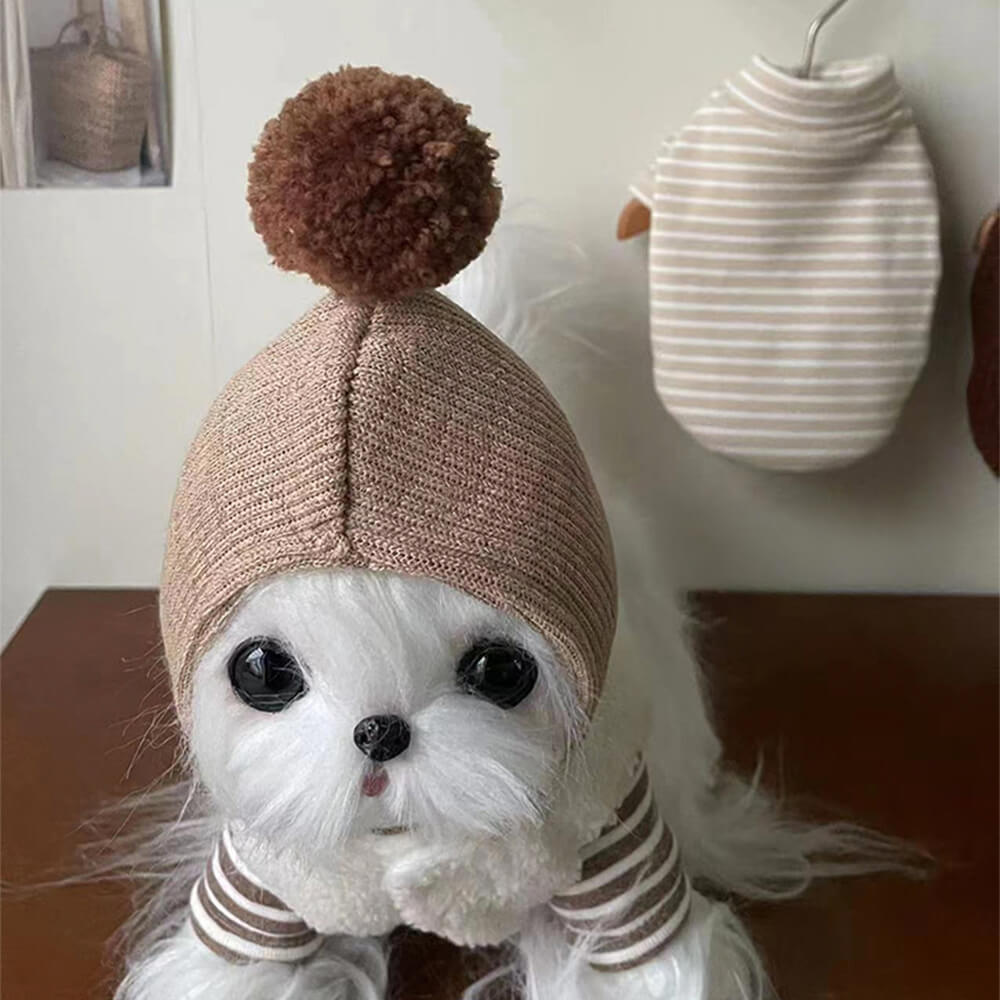 Bear Pom Pom Warm Match Striped Undershirt Dog & Cat Hoodie