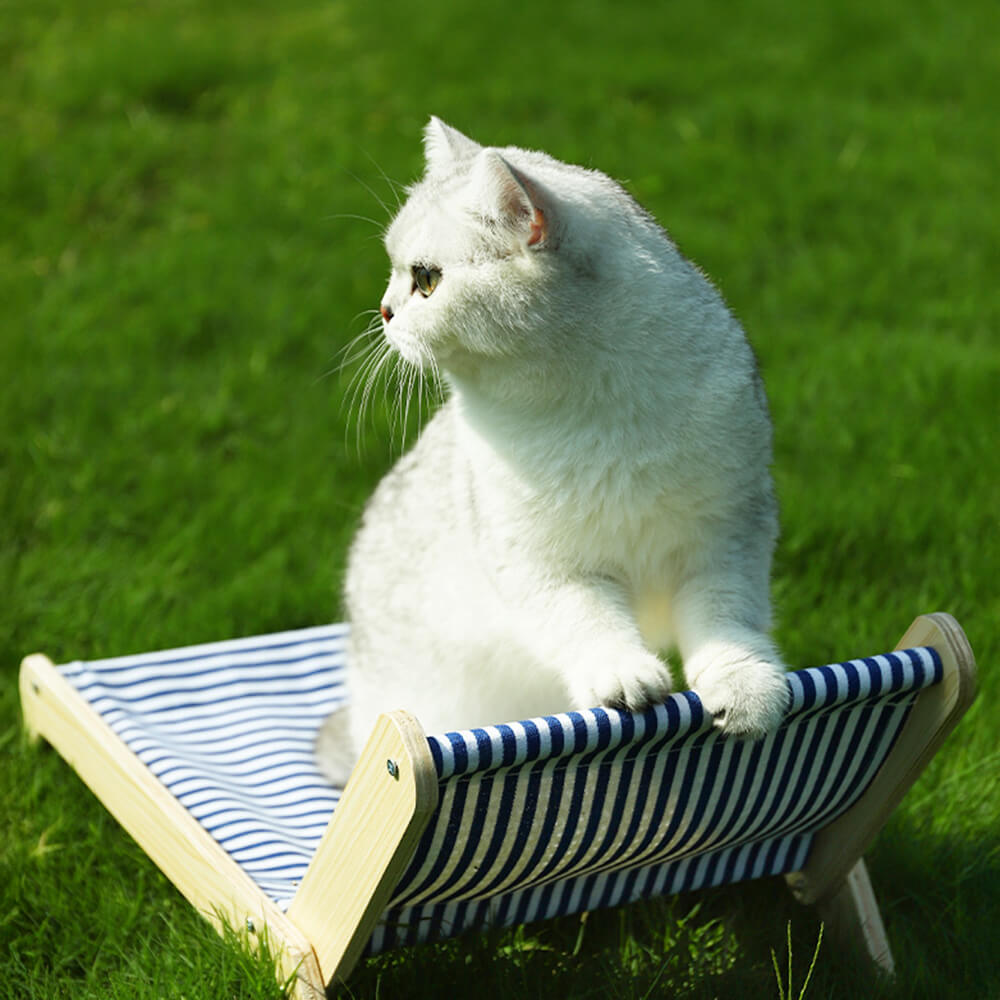 Cat Beach Vacation Lounger with Scratching Board