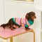 Color Blocked Striped Dachshund Dog Sweater