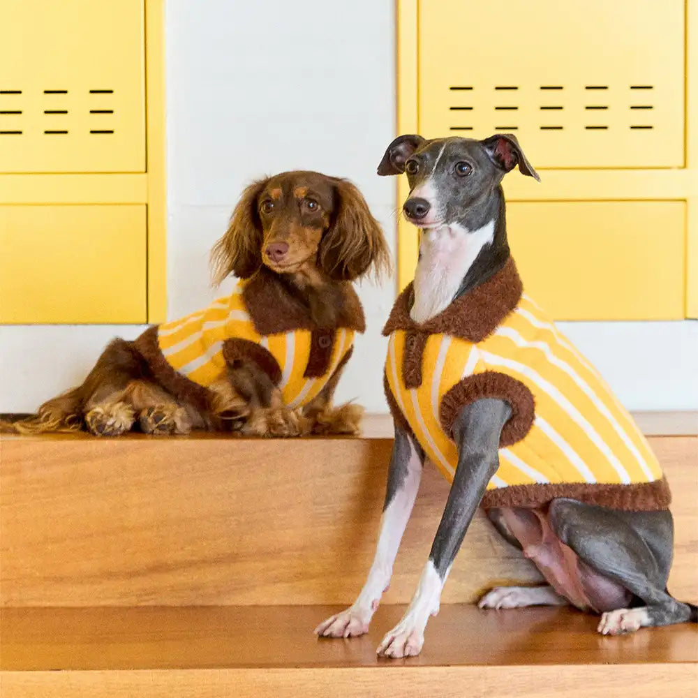 Color Blocked Striped Dachshund Polo Collar Dog Sweater