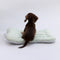 Cooling Breathable Lightweight 3D Cushion Dog & Cat Mat