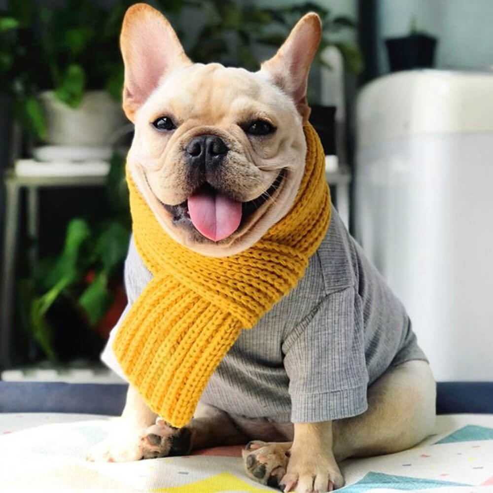 Cozy Knit Soft Warm Adjustable Fit Dog Scarf