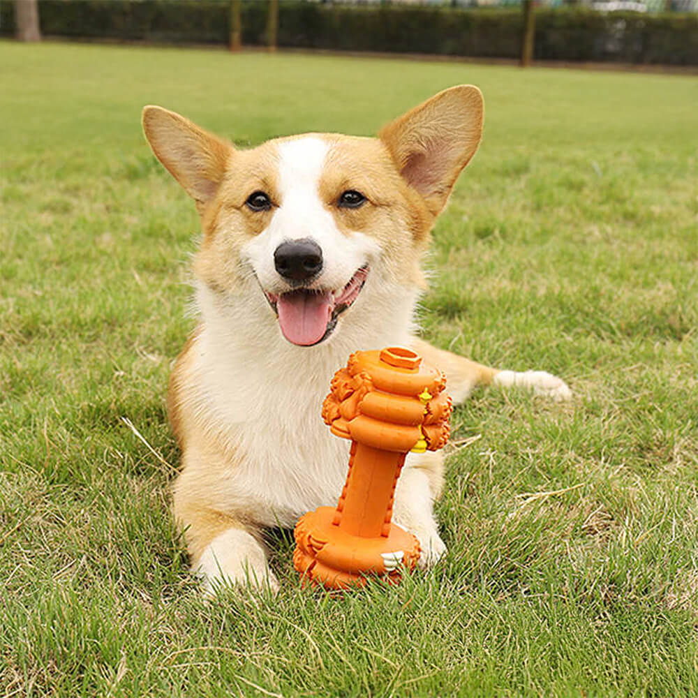 Dumbbell Silicone Slow Feeder Durable Interactive Dog Toy