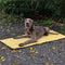 Alfombra de acampar para perros plegable para perros portátiles impermeables