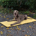 Alfombra de acampar para perros plegable para perros portátiles impermeables