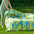 Funky Floral Playful Comfort Cotton Duvet Cover Bed Sheet Set