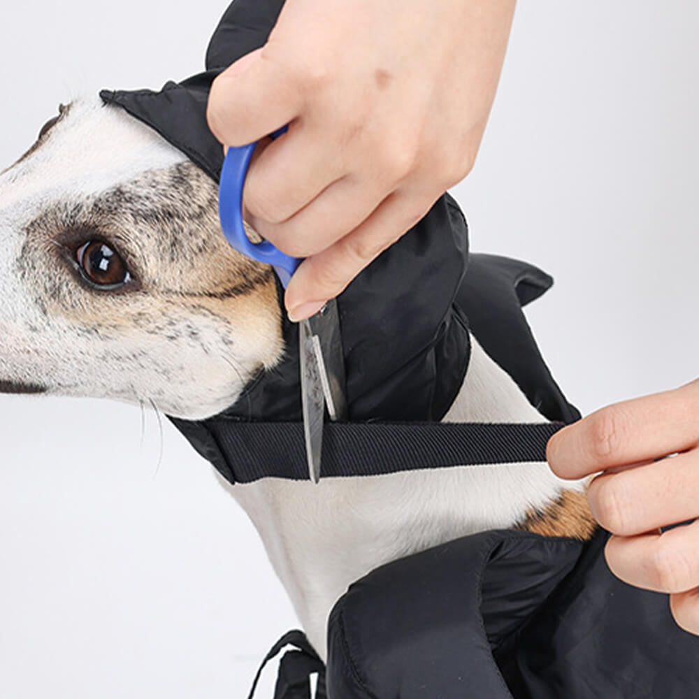 Disfraz de capa de bruja de Halloween Ropa para mascotas