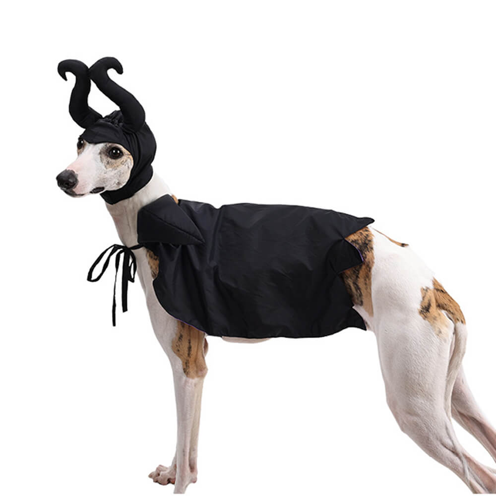 Disfraz de capa de bruja de Halloween Ropa para mascotas