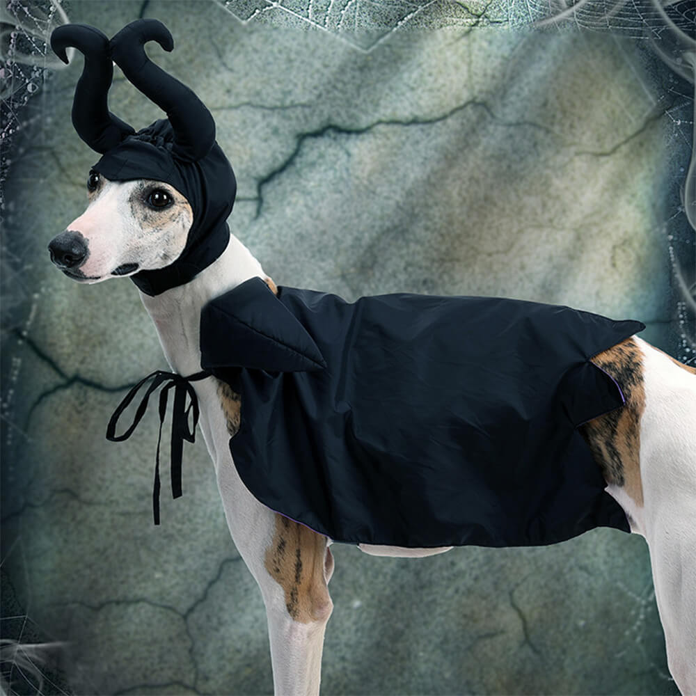 Disfraz de capa de bruja de Halloween Ropa para mascotas