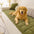 Herringbone Chenille Elegant Breathable Sofa Decoration Non-slip Couch Cover