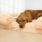 Long Lade - Camilla de perro de sueño profundo de soporte cuadrado