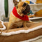 Luxurious Retro Faux Leather Sleep Dipe Did Dog Cama con almohada