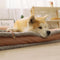 Luxurious Retro Faux Leather Sleep Dipe Did Dog Cama con almohada