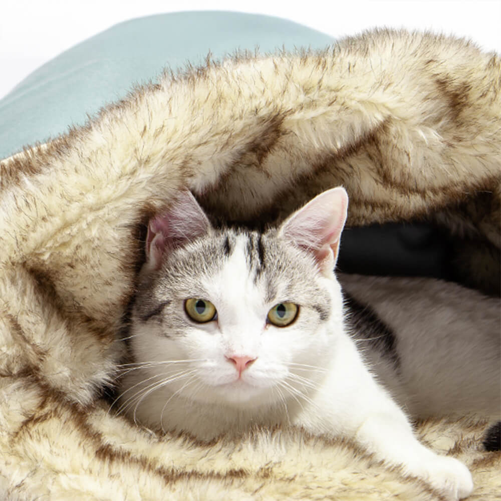 Luxury Warm Cozy Reversible Faux Fur Washable Cat Bed