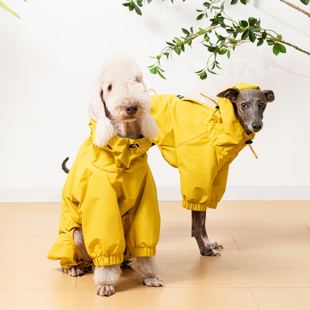 Outdoor Lightweight Waterproof Dog Raincoat with Hood