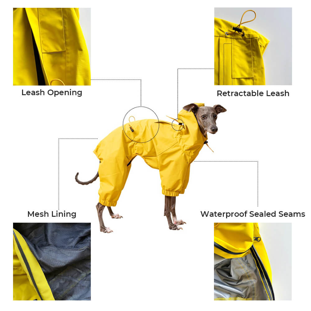 Outdoor Lightweight Waterproof Dog Raincoat with Hood