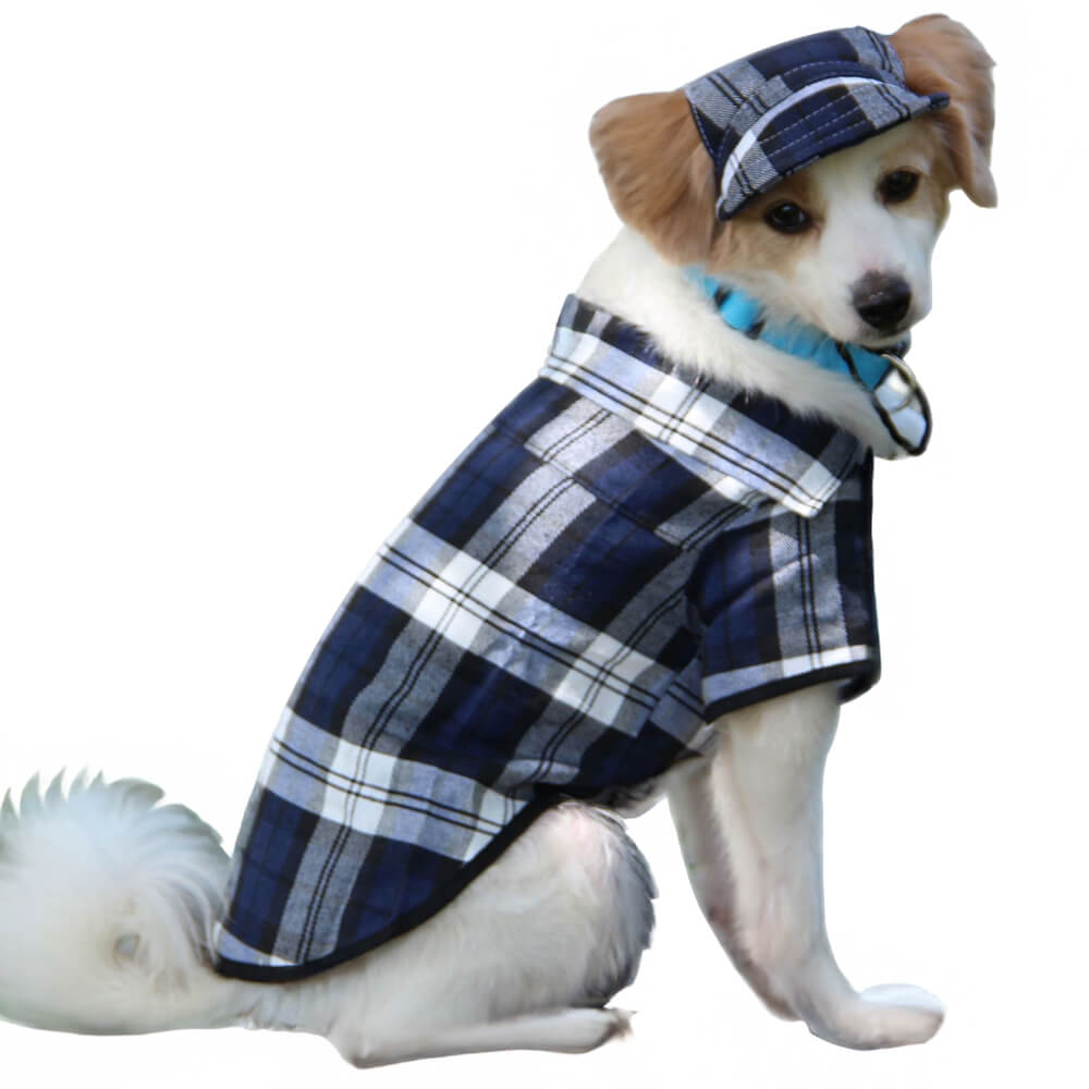 Plaid Oxford Sun Protection Adjustable Dog Hat & Coat Set