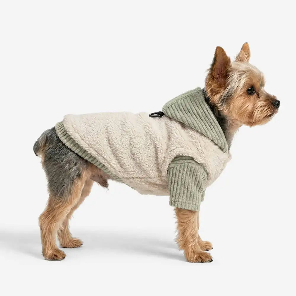 Plush Coat & Matching Turtleneck Sweater Two-Piece Dog Outfit Set